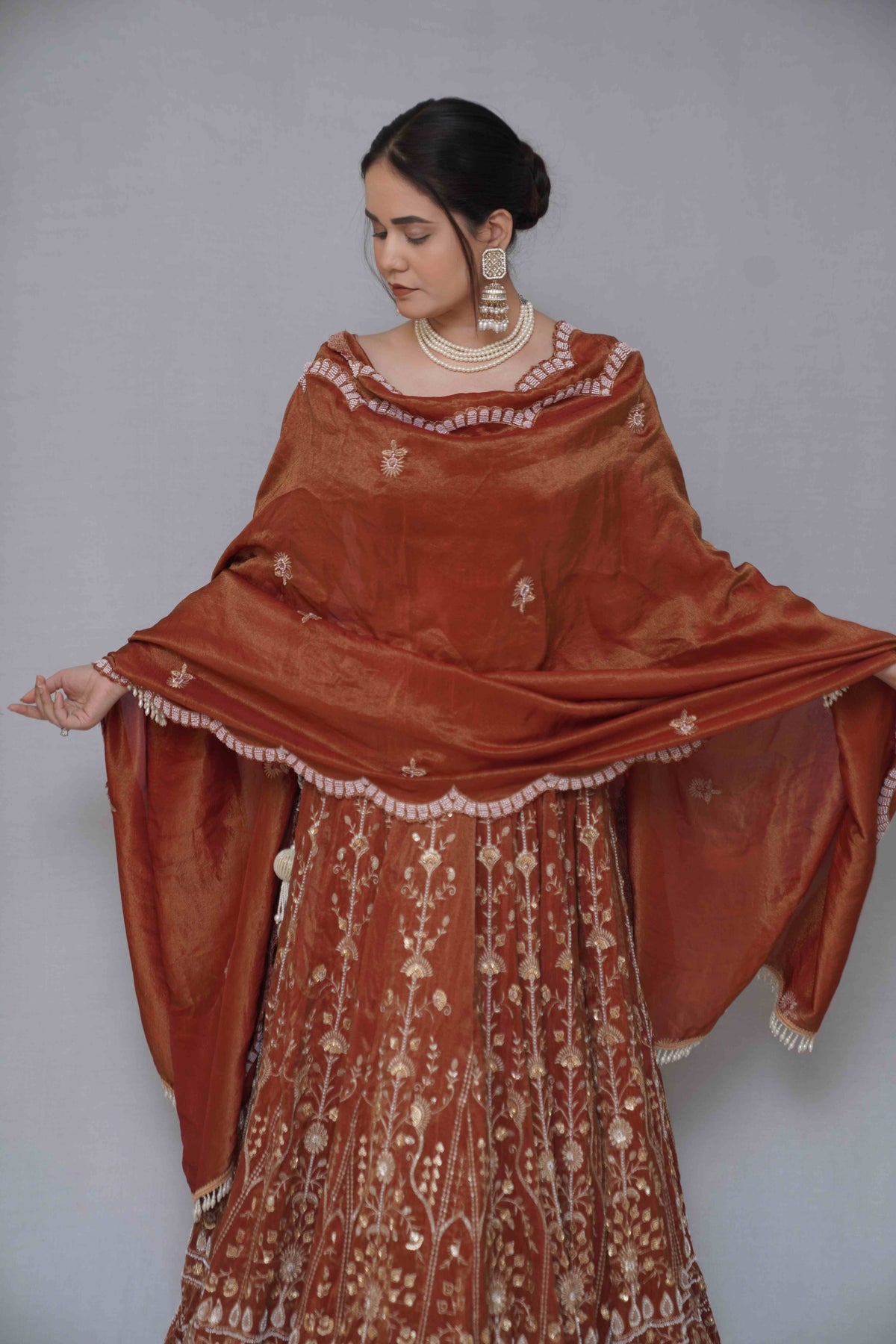 Rust Lehenga Choli
