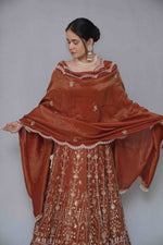 Rust Lehenga Choli