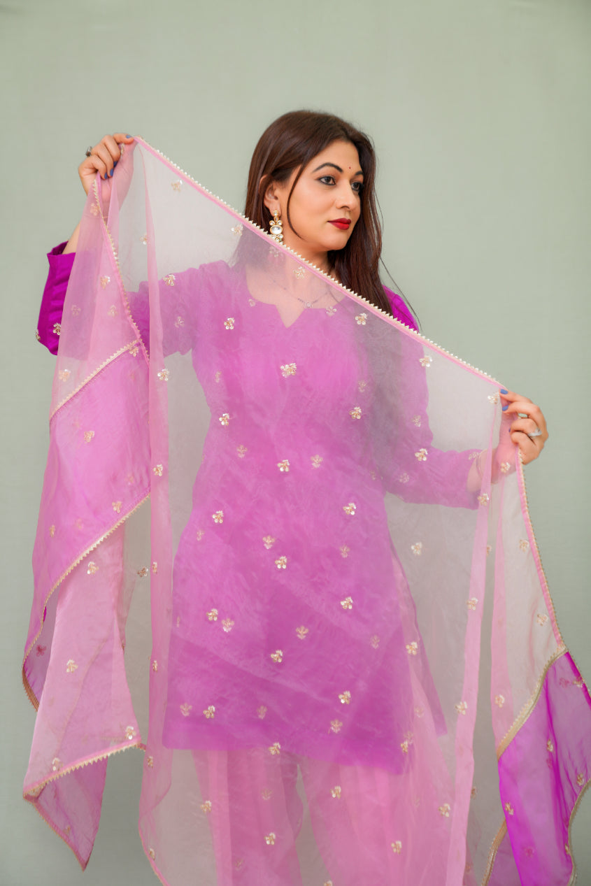 Organza Farshi Salwar Suit with dupatta